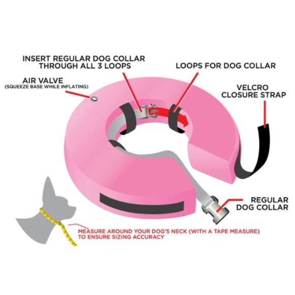 Katoggy Pets Inflatable Recovery Dog Collar - Picture 7 of 10